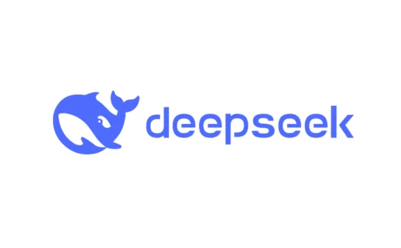 Deepseek提示词-瑞士数据主义 (SWISS DATAISM)